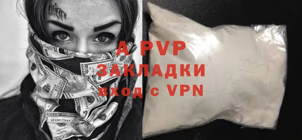 PSILOCYBIN Козловка