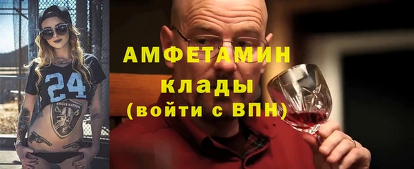 шишки Кодинск