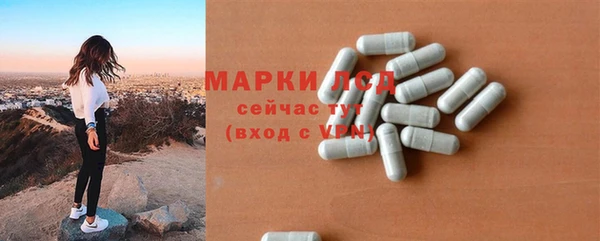 PSILOCYBIN Козловка