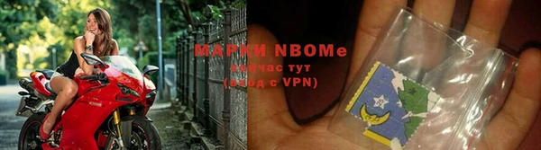 PSILOCYBIN Козловка