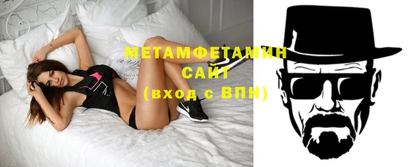 шишки Кодинск