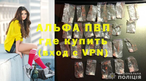 PSILOCYBIN Козловка