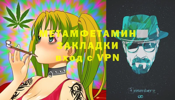 шишки Кодинск