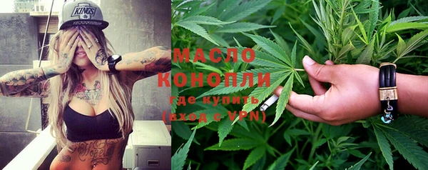 шишки Кодинск