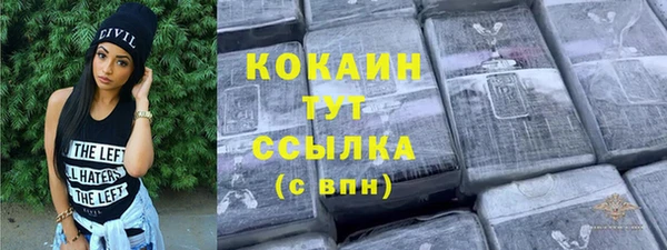 шишки Кодинск