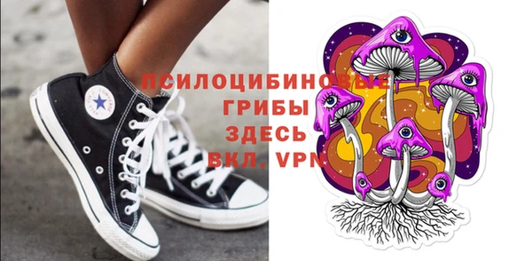 гидра Козельск