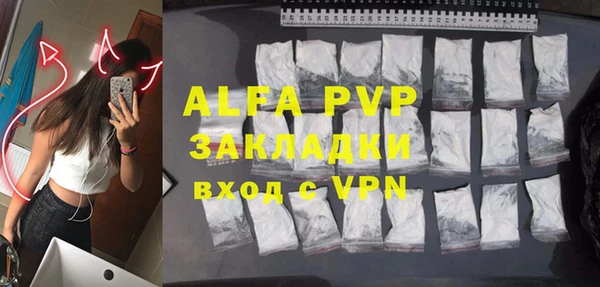 PSILOCYBIN Козловка