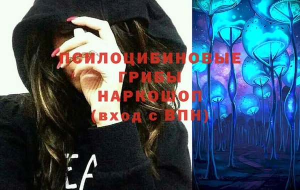 PSILOCYBIN Козловка