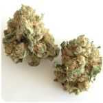 Шишки "White Widow"  (Белая вдова)  Гидропоника -  Бошка VHQ в Любиме